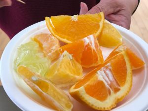 かんきつ6種類